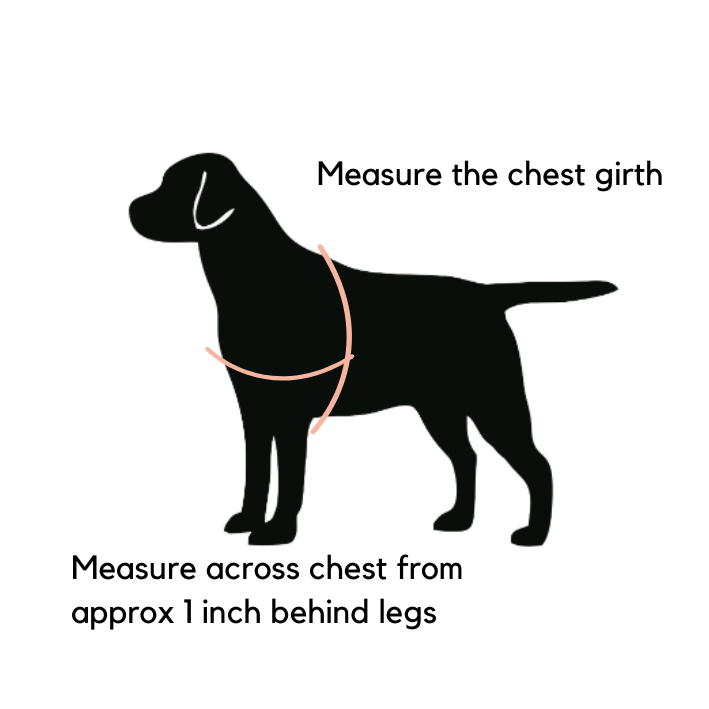 Hemp dog harness