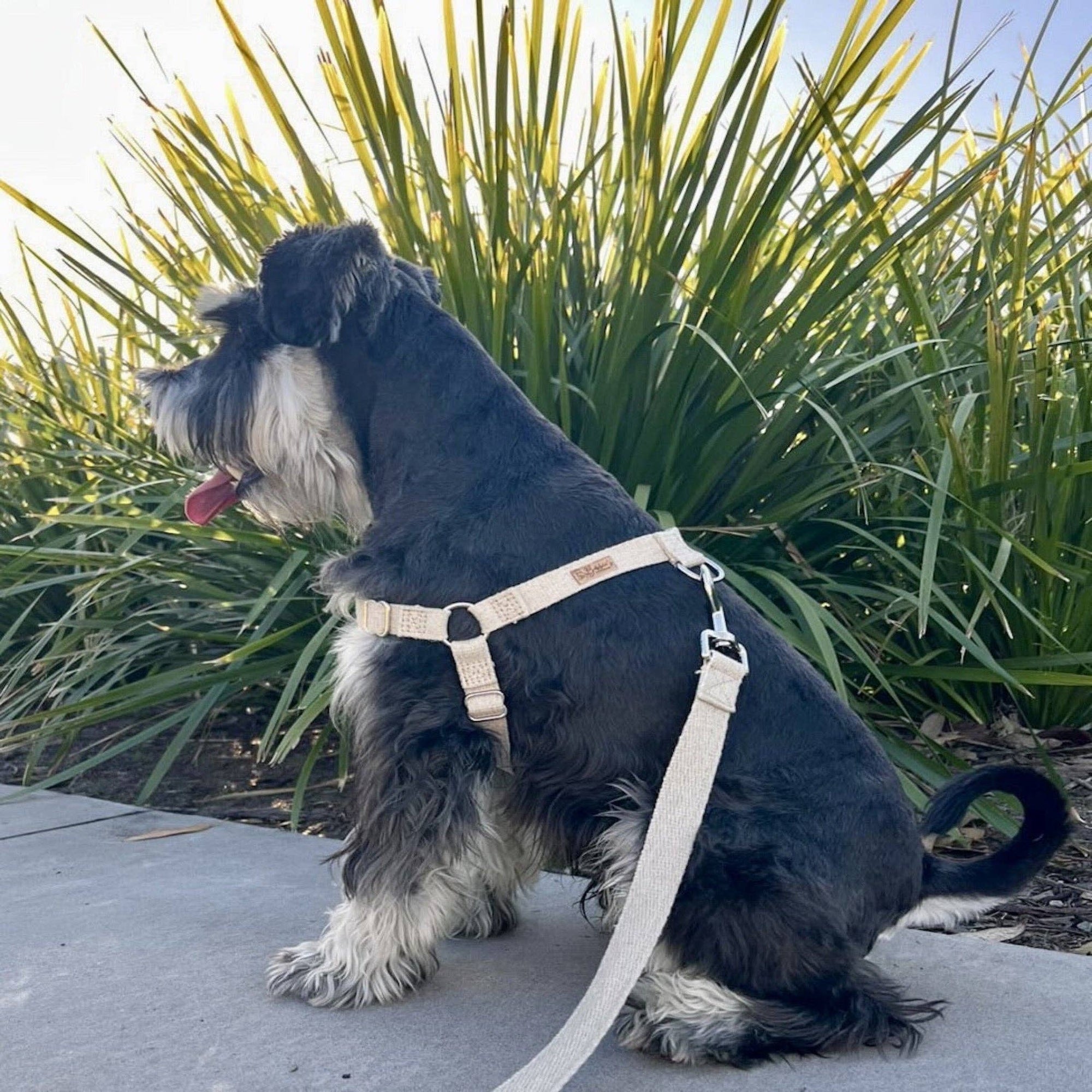 Hemp dog harness